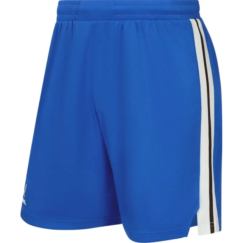 Jögel DIVISION PERFORMDRY SHORTS Шорты баскетбольные Синий