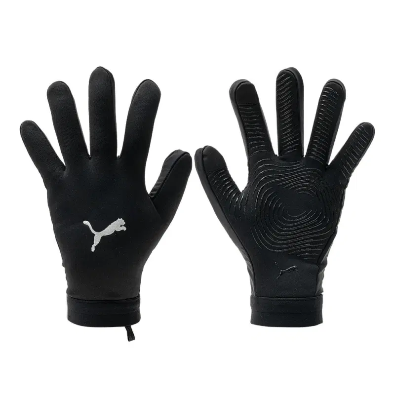 Puma TEAMLIGA 21 WINTER GLOVES Перчатки беговые Черный
