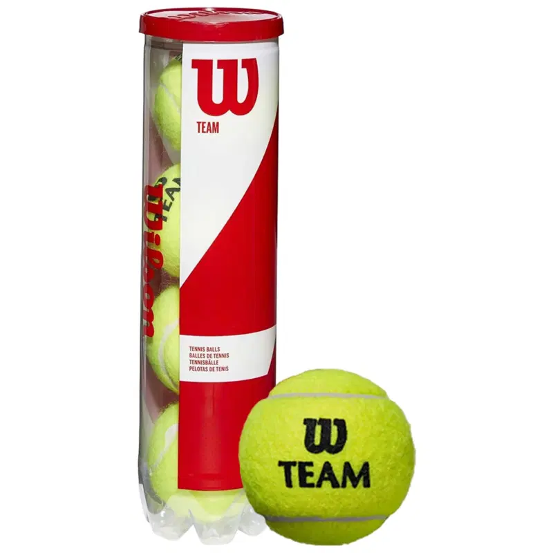 Wilson TEAMW PRACTICE Мячи для большого тенниса (4 мяча в тубе)