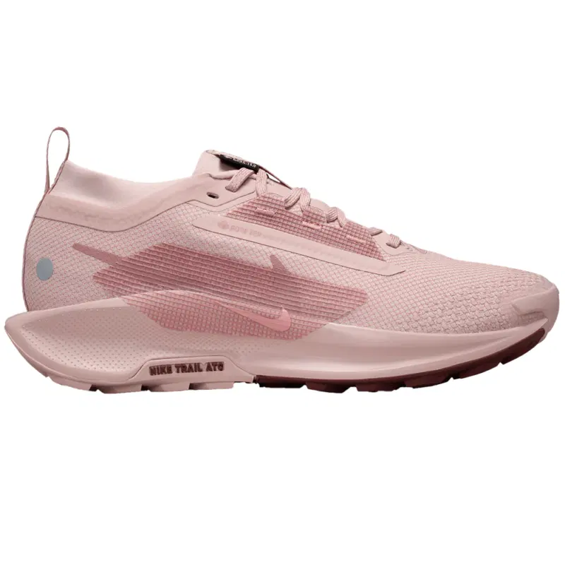 Nike PEGASUS TRAIL 5 GTX (W) Кроссовки беговые женские Розовый