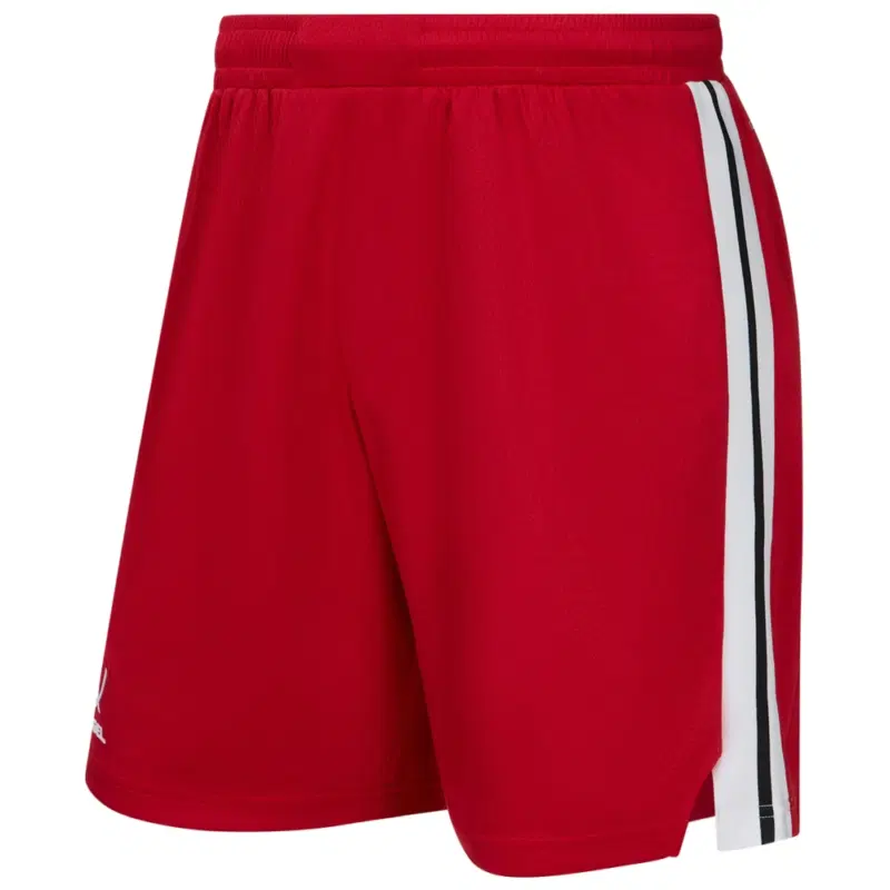Jögel DIVISION PERFORMDRY SHORTS Шорты баскетбольные Красный