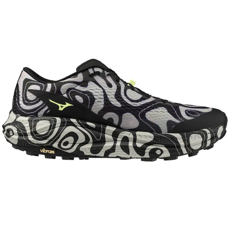 Mizuno NEO ACCERA Кроссовки беговые Черный/Белый