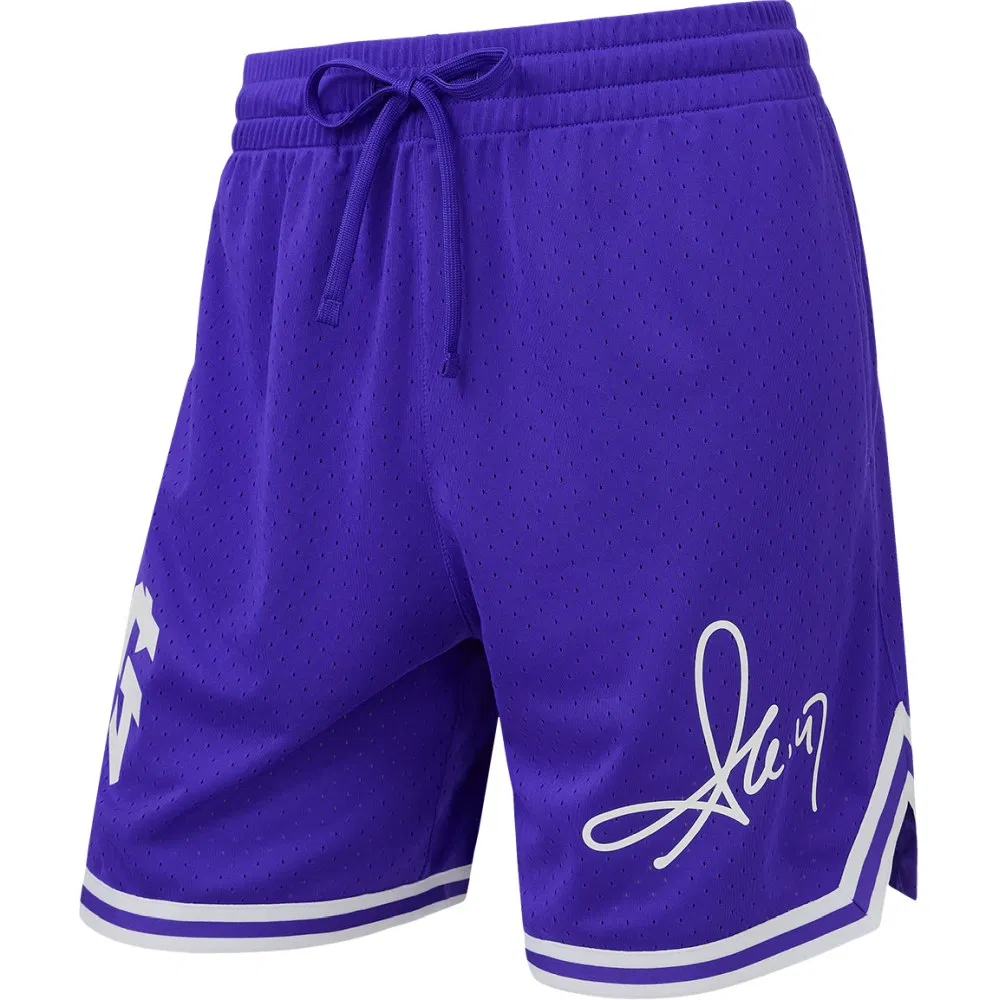 Jögel AK D.D.D. SHORTS Шорты баскетбольные Фиолетовый