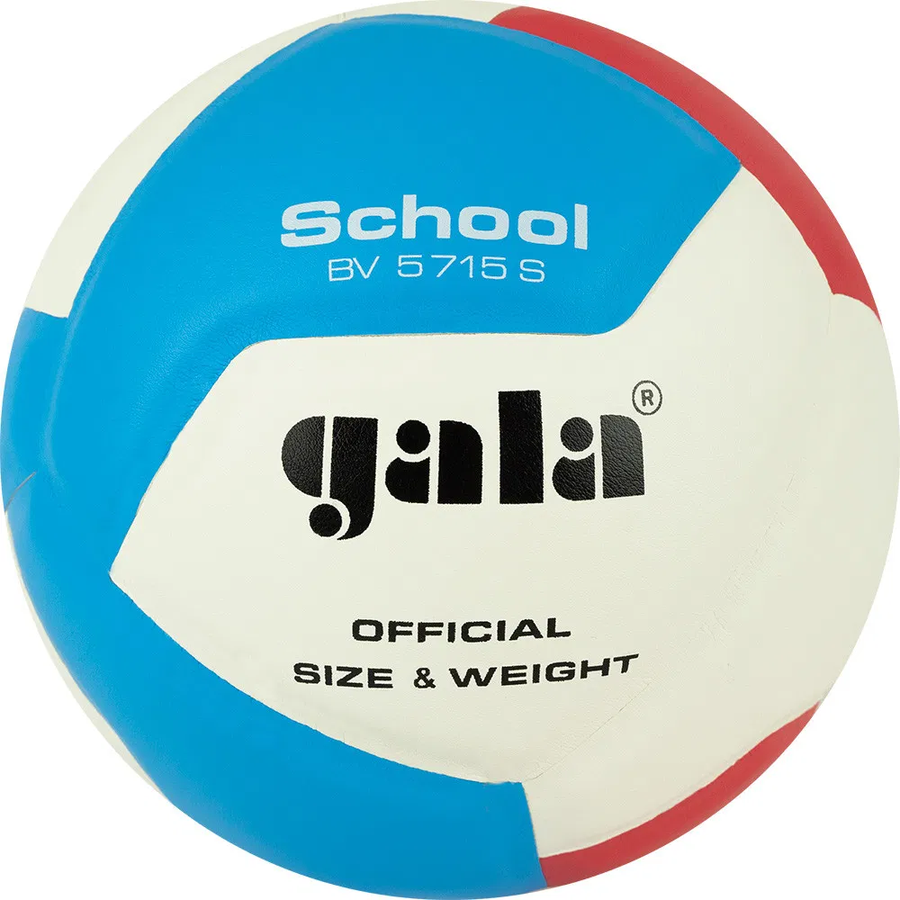 Gala SCHOOL 12 Мяч волейбольный