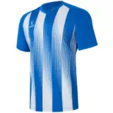 Jogel CAMP STRIPED JERSEY Футболка игровая детская Синий/Белый