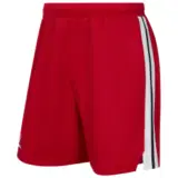Jogel DIVISION PERFORMDRY SHORTS Шорты баскетбольные Красный