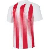 Jogel CAMP STRIPED JERSEY Футболка игровая Красный/Белый