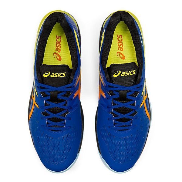 Кроссовки Asics SKY ELITE FF