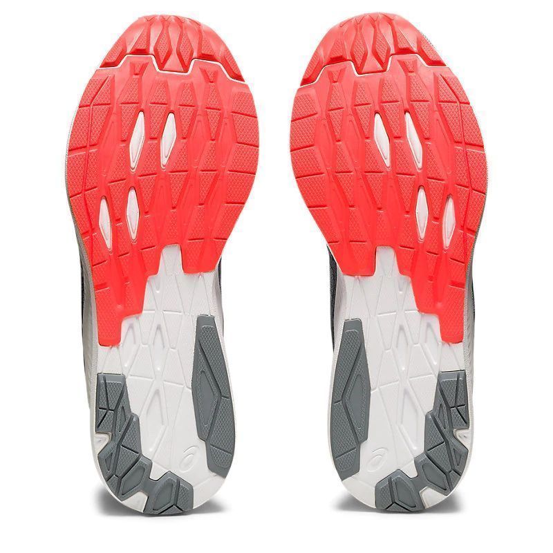 Asics EVORIDE