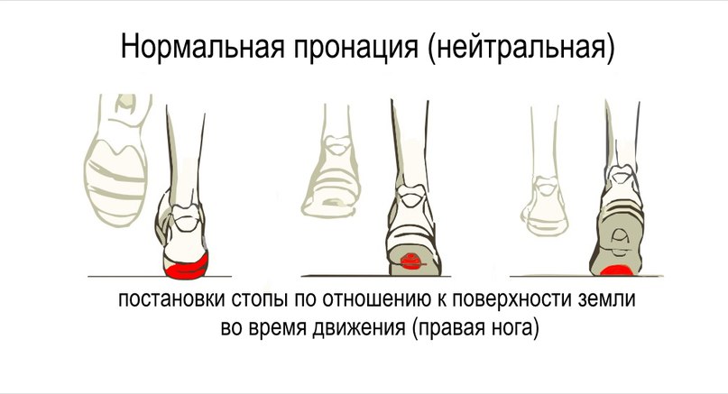 НЕЙТРАЛЬНАЯ ПРОНАЦИЯ