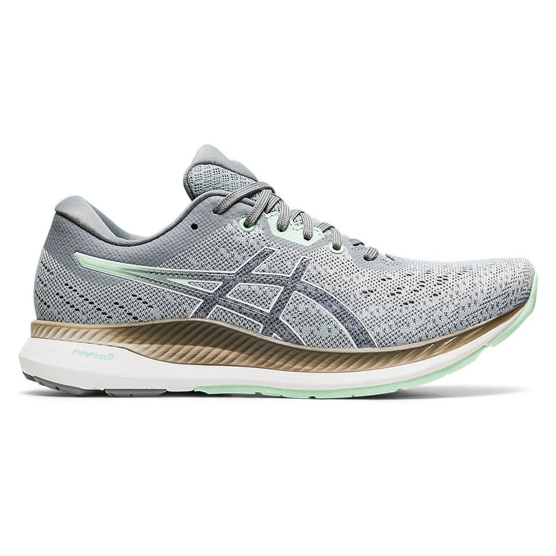 Asics EVORIDE