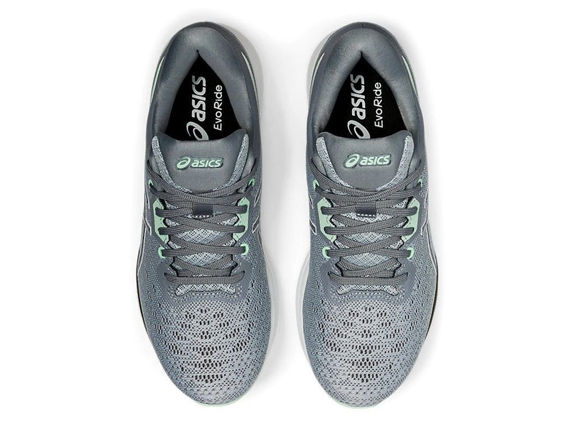 Asics EVORIDE