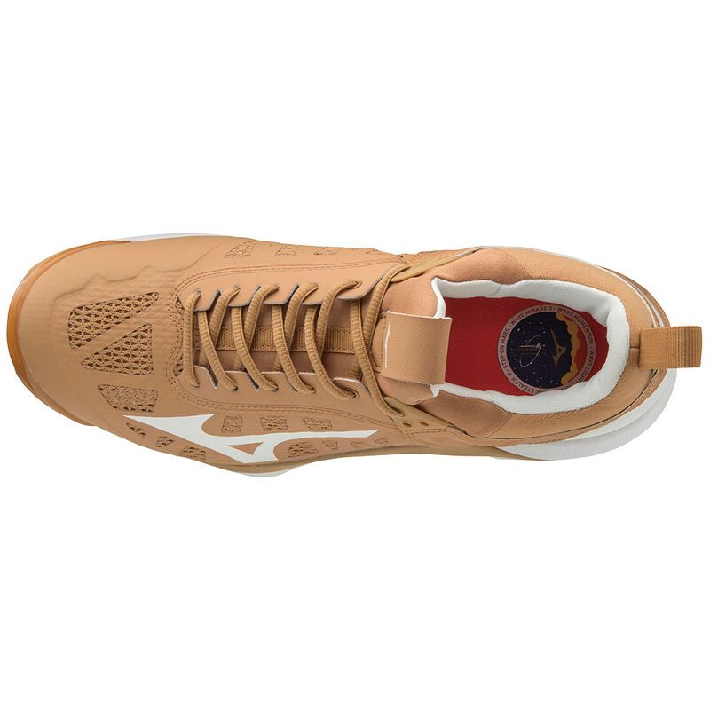Кроссовки волейбольные Mizuno WAVE MOMENTUM