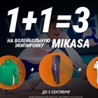 1+1= 3 на экипировку MIKASA!