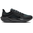 Nike Pegasus 41 GTX: легендарный Pegasus для бега в дождь