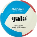 Gala School 12: обзор тренировочного мяча для школ