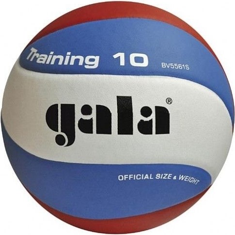 Gala TRAINING 10 (BV5561S) Мяч волейбольный - фото 230336
