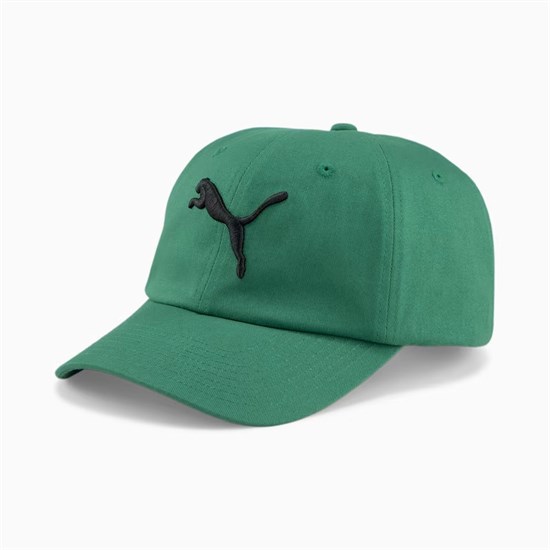 Puma ESSENTIALS CAT LOGO CAP Бейсболка Зеленый - фото 261283