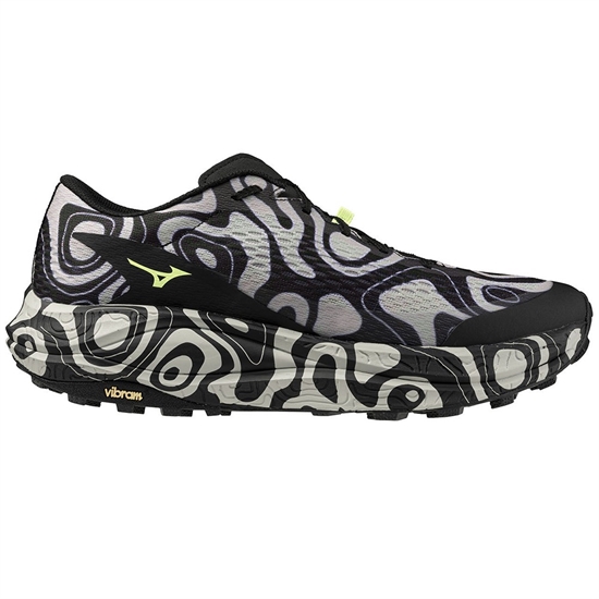 Mizuno NEO ACCERA Кроссовки беговые Черный/Белый - фото 334090