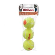 Wilson STARTER ORANGE (WRT137300) Мячи для большого тенниса (3 шт)