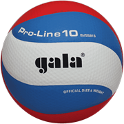 Gala PRO-LINE 10 (BV5581S) Мяч волейбольный Gala PRO-LINE 10 (BV5581S) Мяч волейбольный