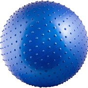Torres AL121265 Мяч гимнастический 65 см Синий