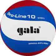 Gala PRO-LINE 10 (BV5821SA) Мяч волейбольный