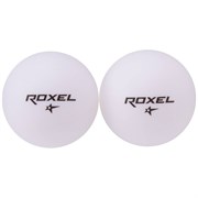 Roxel 1* TACTIC Мячи для настольного тенниса (6 шт) Белый