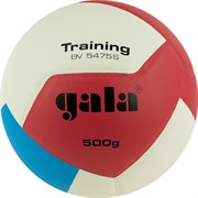 {{photo.Alt || photo.Description || 'Gala TRAINING HEAVY 12 Мяч волейбольный утяжеленный'}}