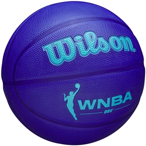 {{photo.Alt || photo.Description || 'Wilson WNBA DRV (WZ3006601) Мяч баскетбольный'}}