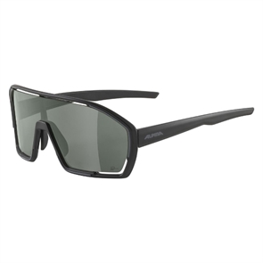 {{photo.Alt || photo.Description || 'Alpina BONFIRE Q-LITE Очки солнцезащитные Черный матовый/Зеркальный'}}