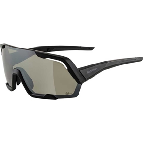 {{photo.Alt || photo.Description || 'Alpina ROCKET Q-LITE Очки солнцезащитные Черный матовый/Зеркальный'}}