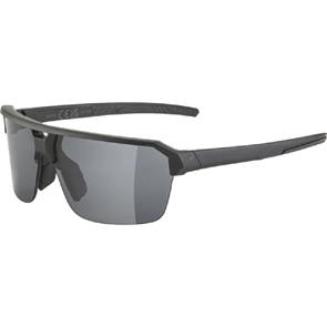 {{photo.Alt || photo.Description || 'Alpina SWIFT HR Очки солнцезащитные Черный матовый/Дымчатый'}}
