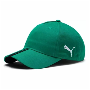 {{photo.Alt || photo.Description || 'Puma LIGA UNISEX FOOTBALL CAP Бейсболка Зеленый'}}