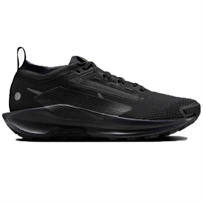 Nike PEGASUS TRAIL 5 GTX (W) Кроссовки беговые женские Черный
