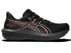 {{photo.Alt || photo.Description || 'Asics GT-1000 15 GTX Кроссовки беговые Черные'}}