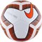 Nike STRIKE PRO TM (SC3936-101-4) Мяч футбольный - фото 152633