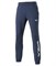 Mizuno TERRY PANT (W) Брюки женские Темно-синий/Белый - фото 153936