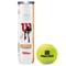 Wilson TOUR PRACTICE Мячи для большого тенниса - фото 156207