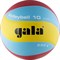 Gala 230 LIGHT 10 Мяч волейбольный облегченный - фото 168120