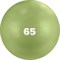 Torres AL122165MT Мяч гимнастический 65 см Оливковый