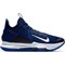 Nike LEBRON WITNESS IV TEAM Кроссовки баскетбольные Синий - фото 218838