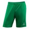 Jogel CAMP JFS-1120 Шорты футбольные Зеленый/Белый