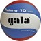Gala TRAINING 10 (BV5561S) Мяч волейбольный - фото 230336