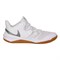Nike ZOOM HYPERSPEED COURT Кроссовки волейбольные Белый/Серебристый