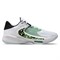 Nike ZOOM FREAK 4 EP "GREAK COASTLINE" Кроссовки баскетбольные Белый/Зеленый - фото 254147