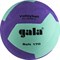 Gala 170 SOFT 12 Мяч волейбольный облегченный для тренировок - фото 256862