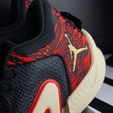 Jordan TATUM 1 "ZOO" Кроссовки баскетбольные Черный/Красный - фото 257387