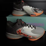 Nike ZOOM FREAK 4 EP "LETTER BROS" Кроссовки баскетбольные Серый/Коричневый - фото 257485