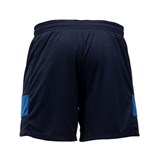 Asics SHORT Шорты игровые волейбольные Темно-синий/Синий - фото 261829